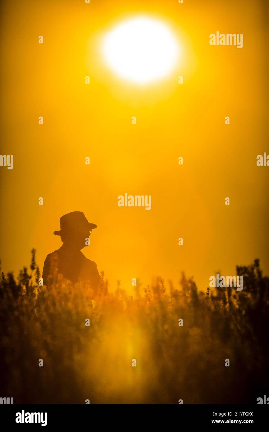 Vertical yellow wallpaper with a silhouette of a man walking in a ...