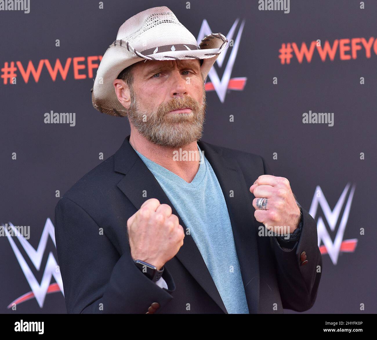 Shawn Michaels at the 'WWE' FYC Event event at TV Academy Saban Media Center on June 6, 2018 in North Hollywood, CA. Stock Photo