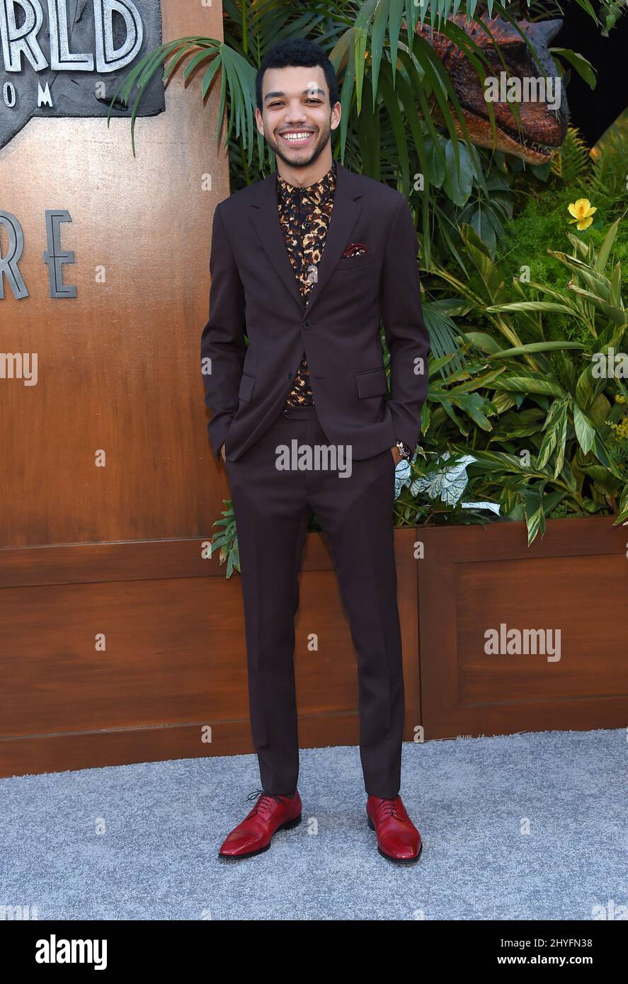 Justice Smith at the Los Angeles premiere of 'Jurassic World: Fallen Kingdom' held at the Walt Disney Concert Hall on June 12, 2018 in Los Angeles, CA. Stock Photo