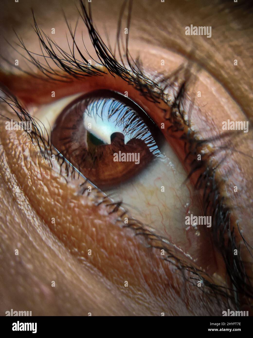 Macro shot of beautiful brown human eye Stock Photo - Alamy
