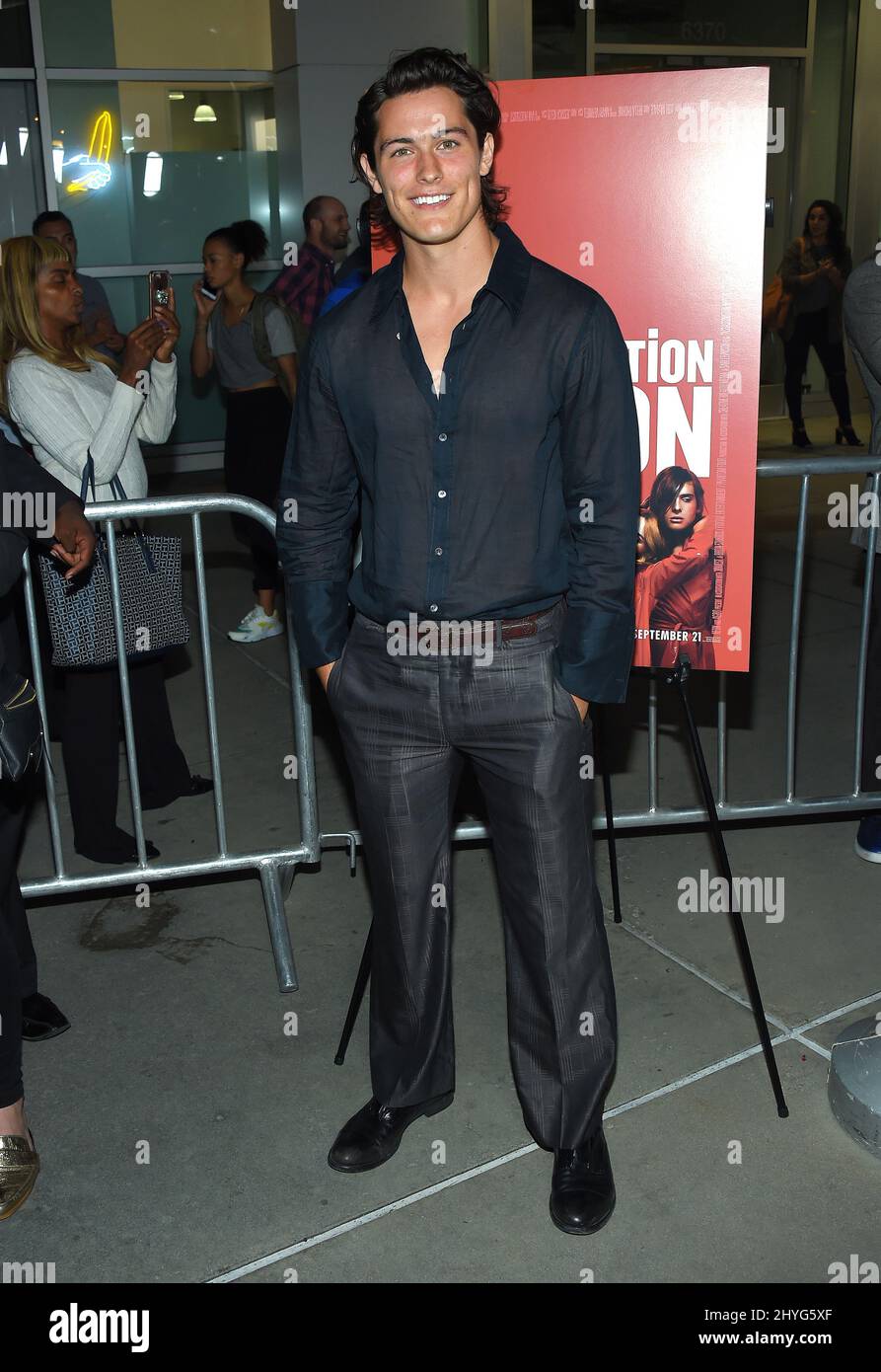 Wolfgang Novogratz arrives to the 'Assassination Nation' Los Angeles Premiere held at Arclight Cinemas on September 12, 2018 in Los Angeles, Ca. Stock Photo