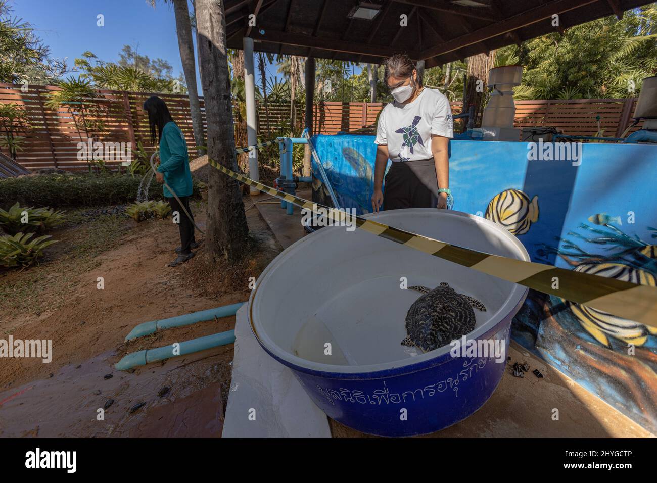 Phuket, Thailand. 22nd Jan, 2022. Conservation workers change water in