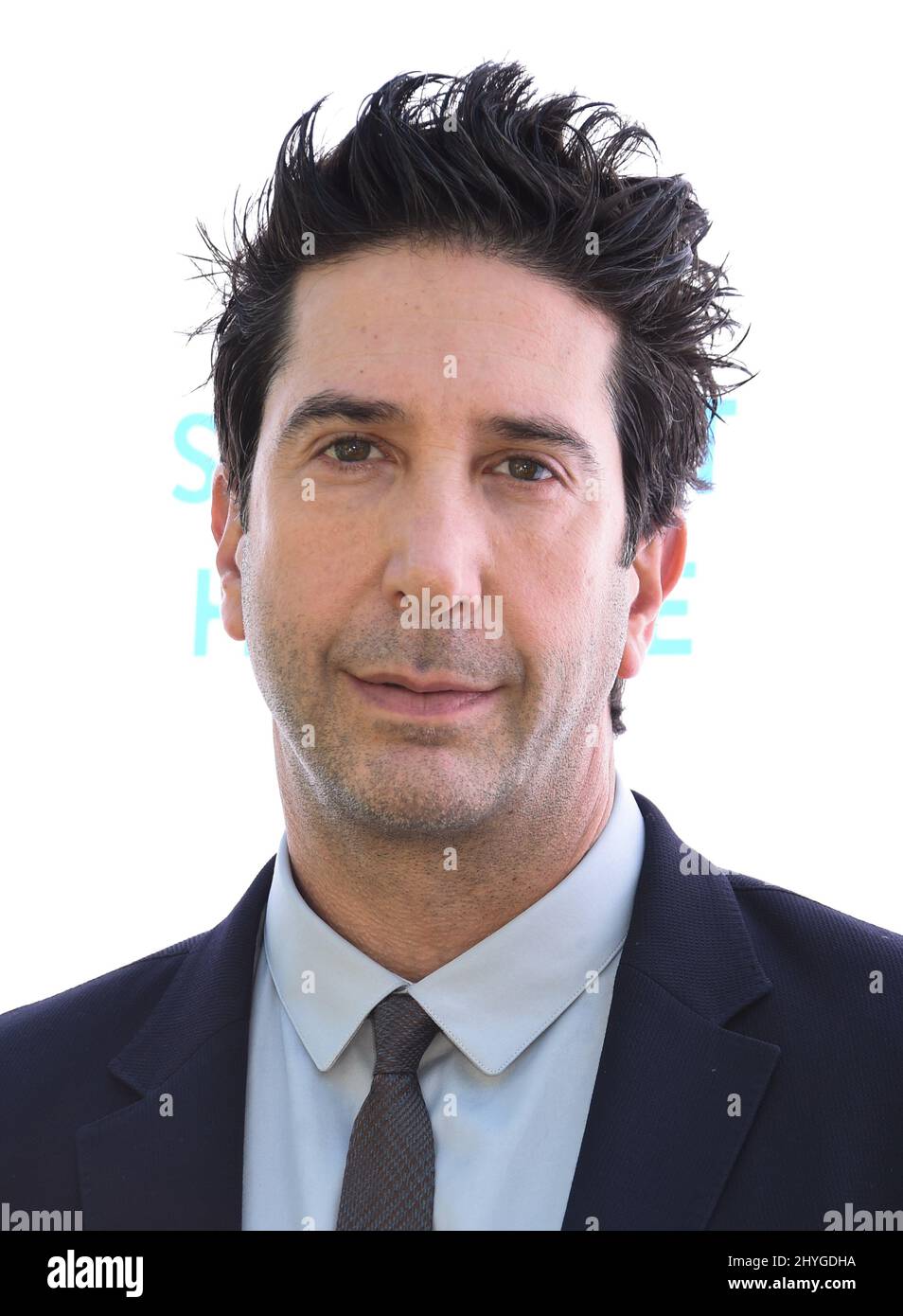 David Schwimmer arrives at The Rape Foundation Annual Brunch benefiting