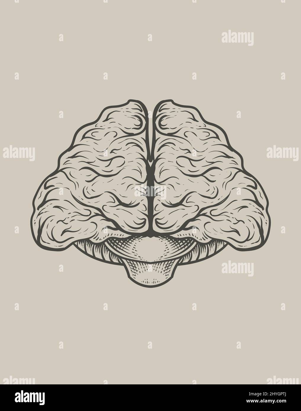 illustration antique brain with engraving style Stock Vector Image ...