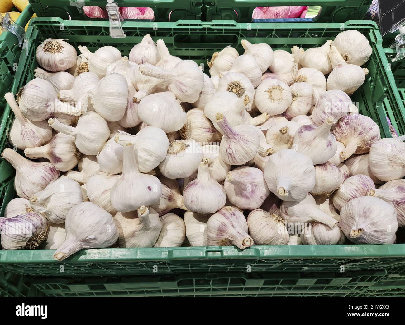 Closeup of garlic in a street market Stock Photo - Alamy