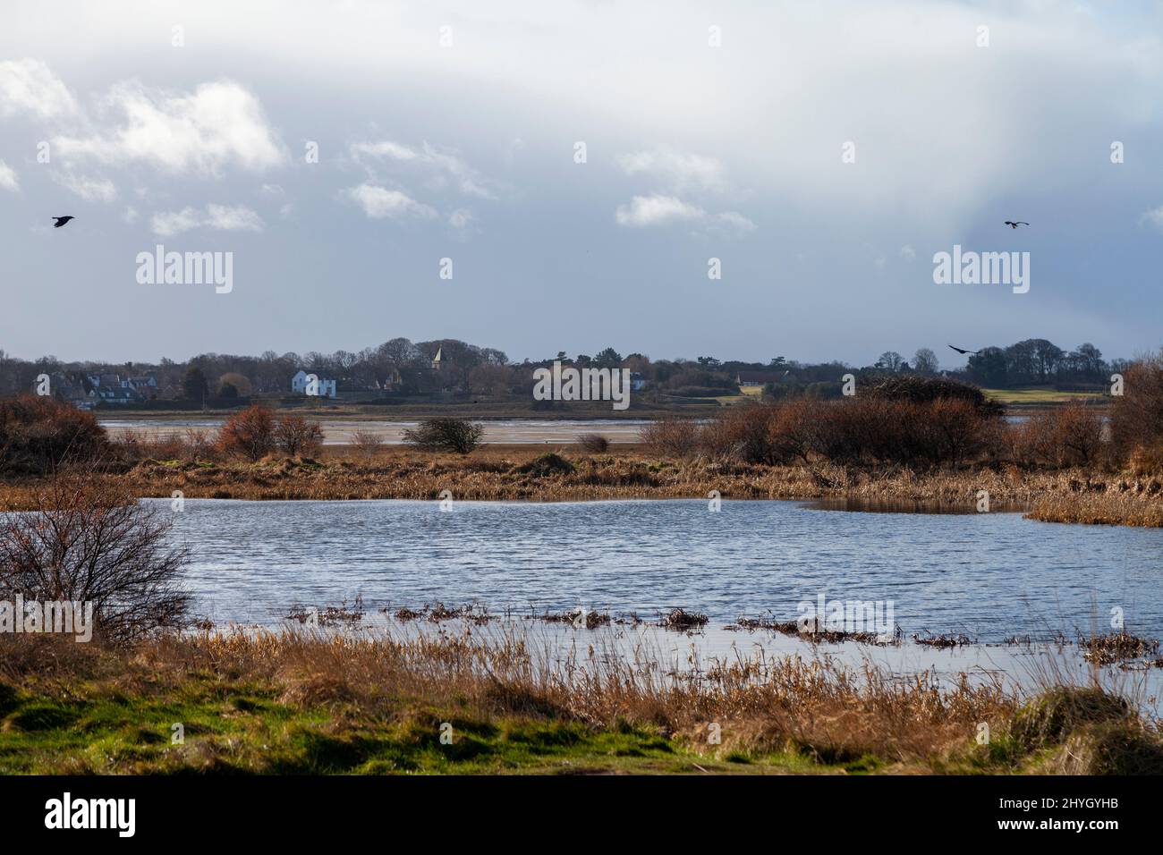 Aberlady Bay Nature Reserve, Scotland Stock Photo