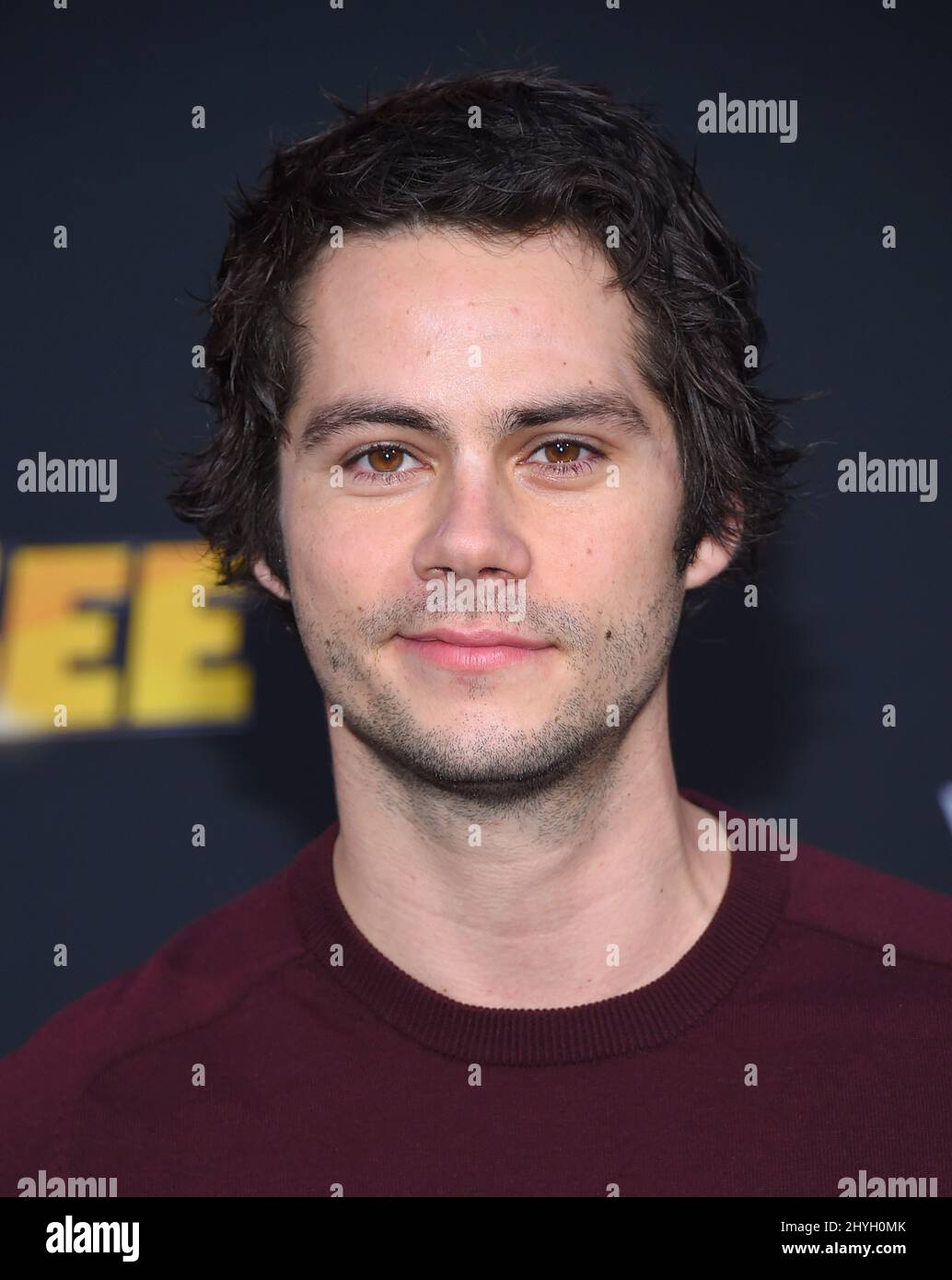 Dylan O'Brien arriving for the Bumblebee World Premiere held at the TCL