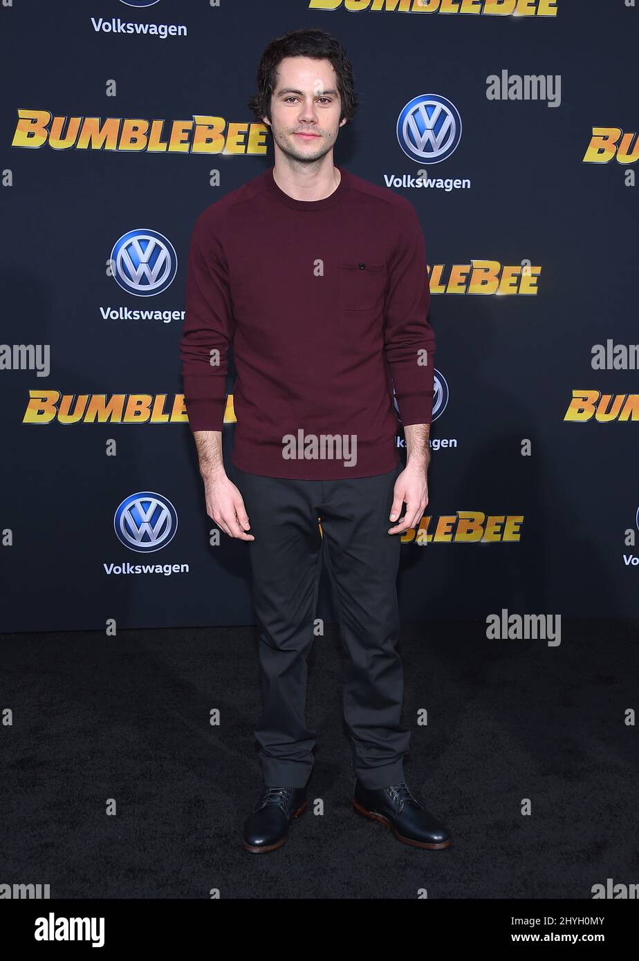 Dylan O'Brien arriving for the Bumblebee World Premiere held at the TCL Chinese Theatre on