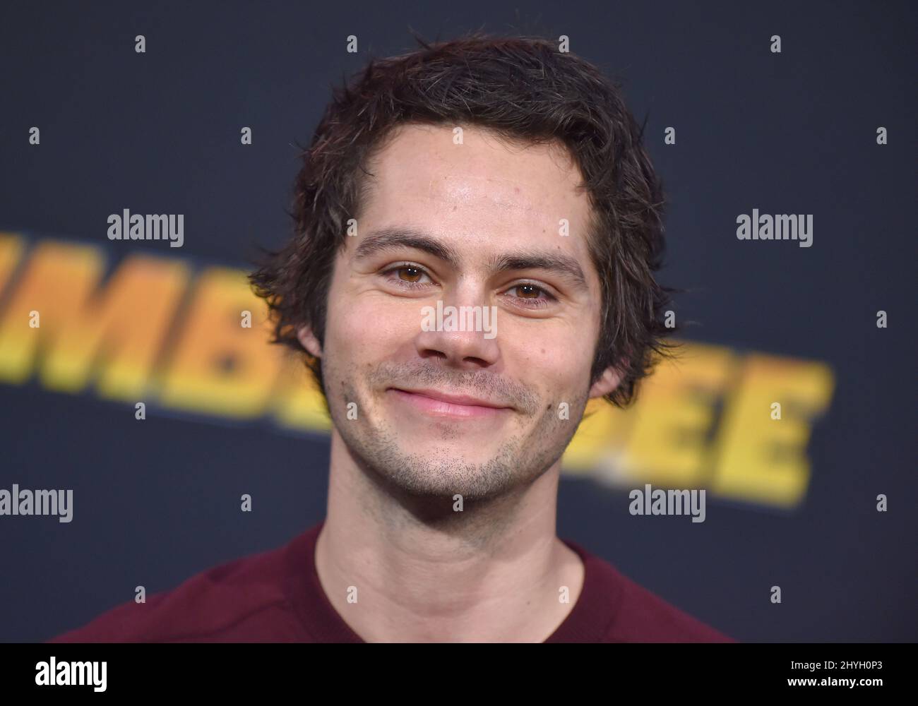 Dylan O'Brien arriving for the Bumblebee World Premiere held at the TCL Chinese Theatre on