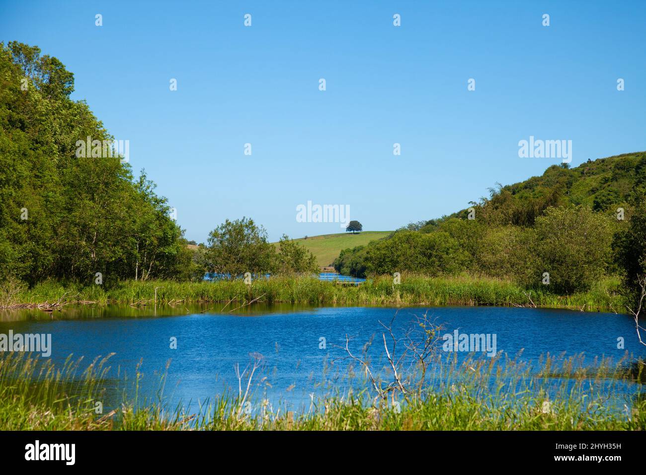 Donnelly reservoir near Gifford, East lothian Stock Photo
