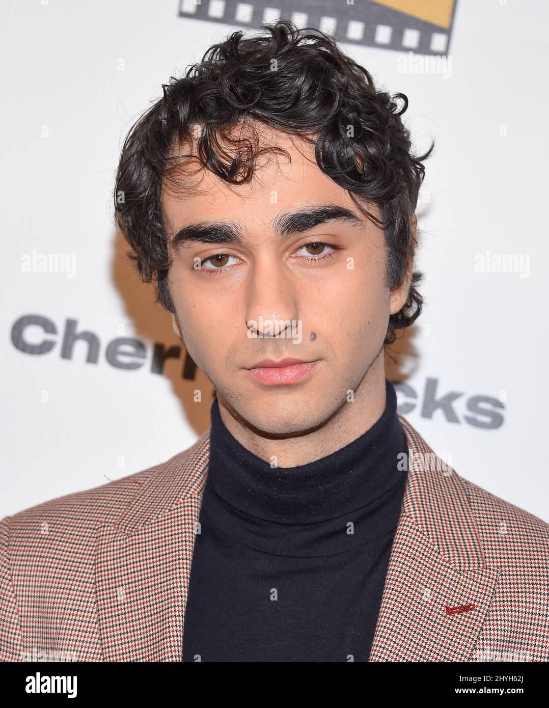 Alex Wolff at the 2nd Annual Los Angeles Online Film Critics Society Awards held at the Taglyan Complex Stock Photo