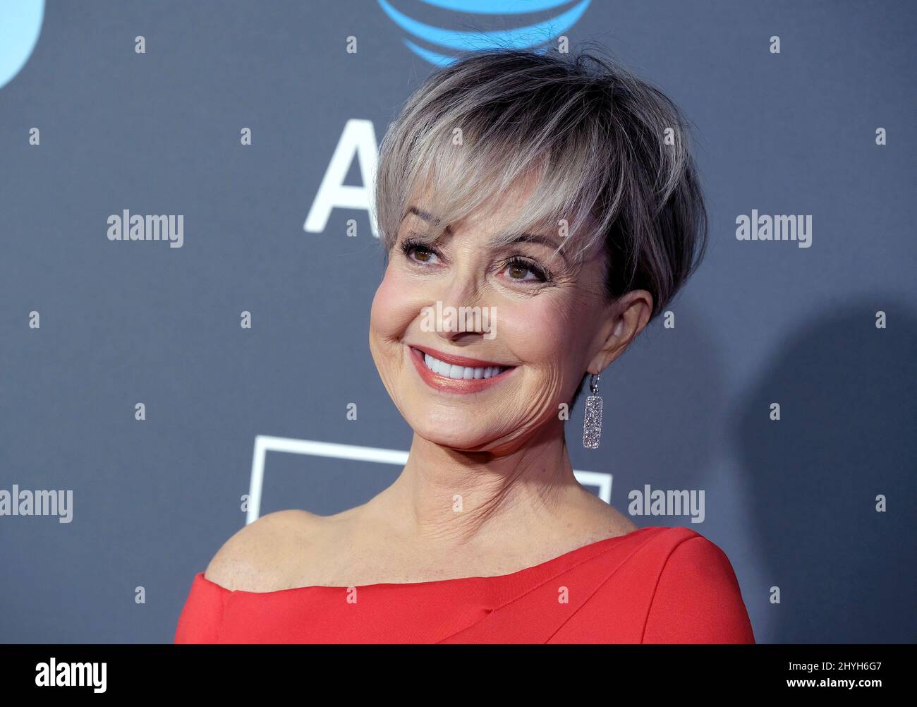 Annie Potts at the 24th Annual Critics' Choice Awards Stock Photo Alamy