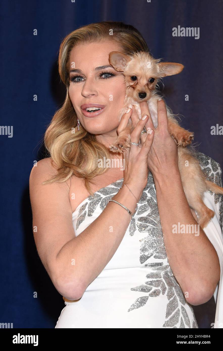 Rebecca Romijn and rescue dog at Hallmark Channel's '2019 American