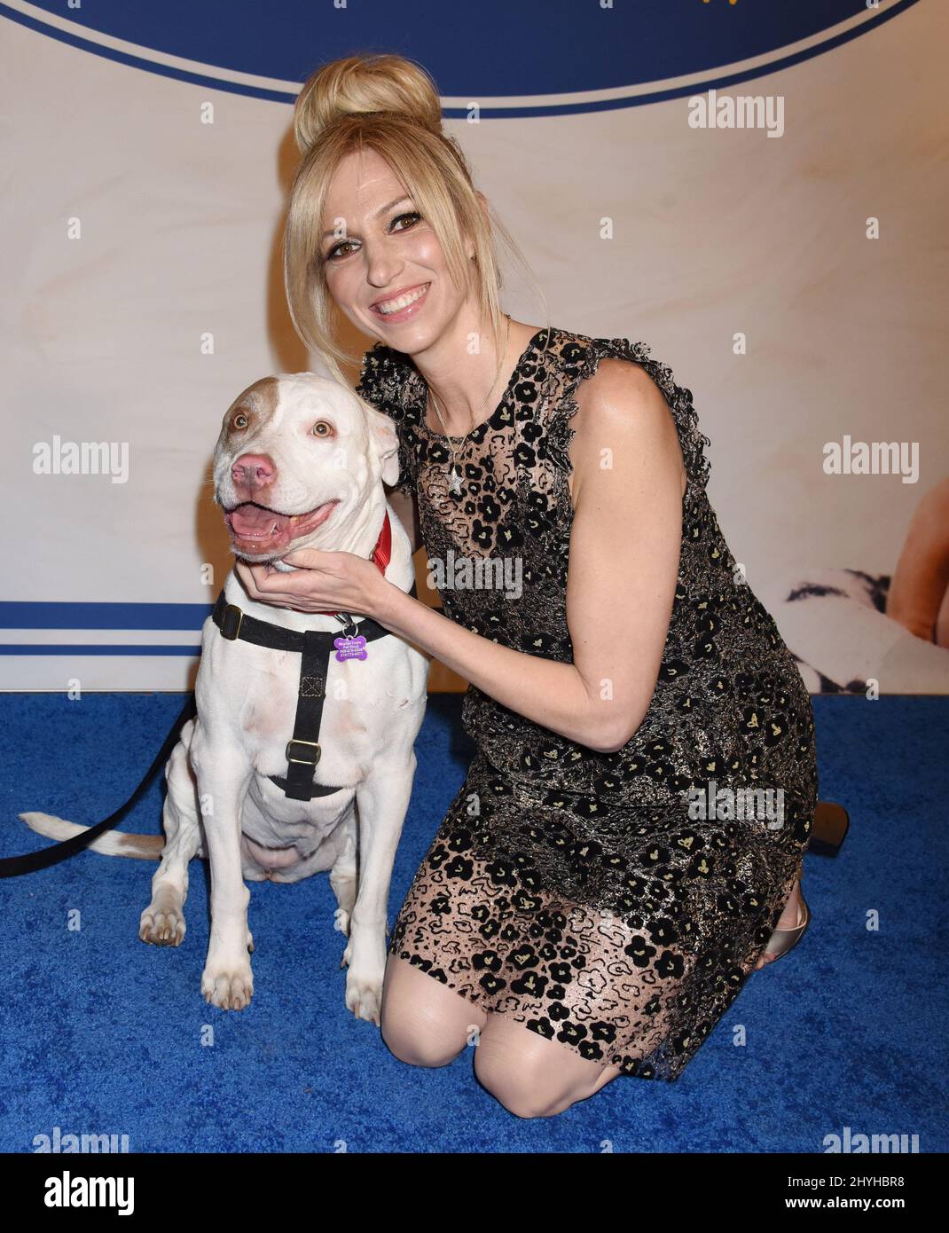 Debbie Gibson and Bella rescue dog at Hallmark Channel's '2019 American Rescue Dog Show' held at the Fairplex at Pomona on January 13, 2019 in Pomona, Ca. Stock Photo