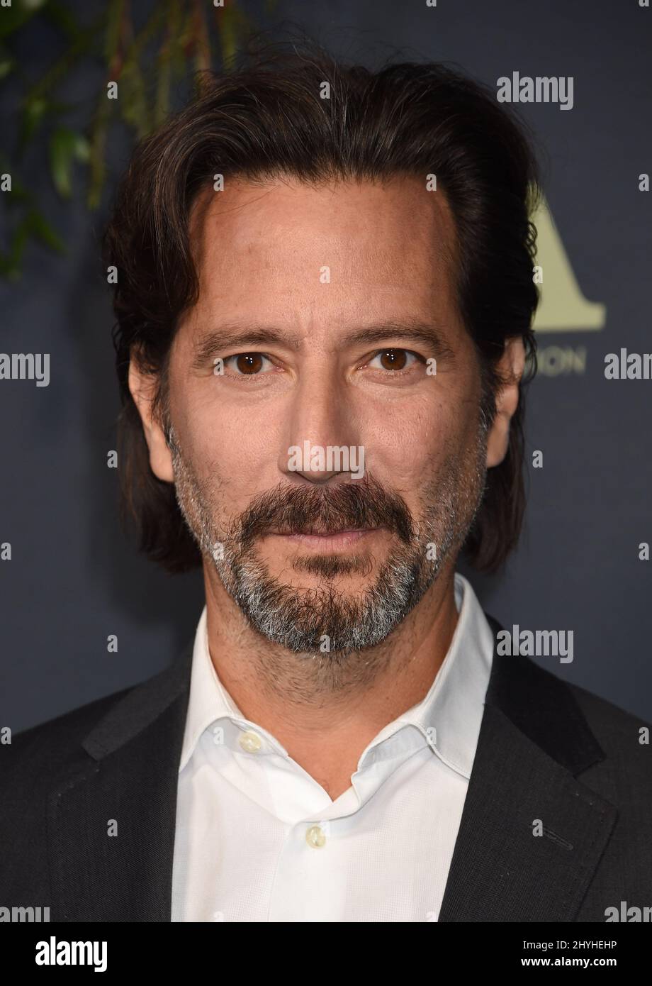Henry Ian Cusick at the FOX 2019 Winter TCA Press Tour Party held at The Fig House on February 6, 2019 in Los Angeles, CA. Stock Photo