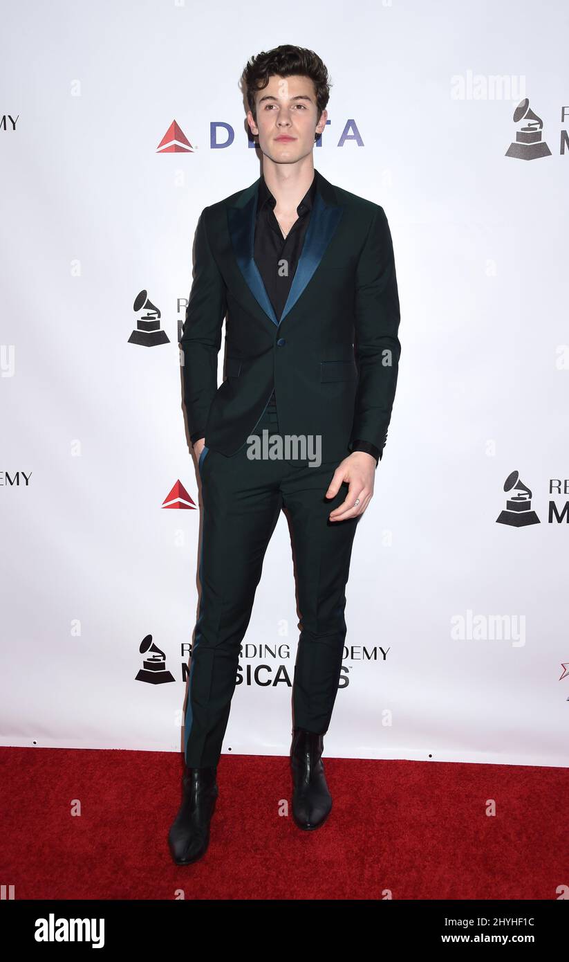 Shawn Mendes at the 2019 MusiCares Person of the Year Honoring Dolly ...