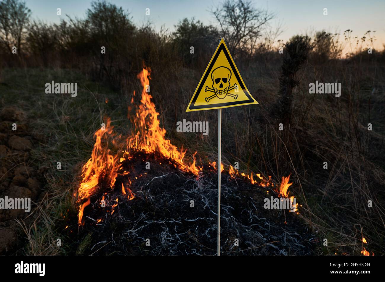 Burning dry grass and poison toxic sign. Yellow triangle with skull and crossbones sign warning about poisonous substances and danger in field with fire. Ecology, hazard, natural disaster concept. Stock Photo