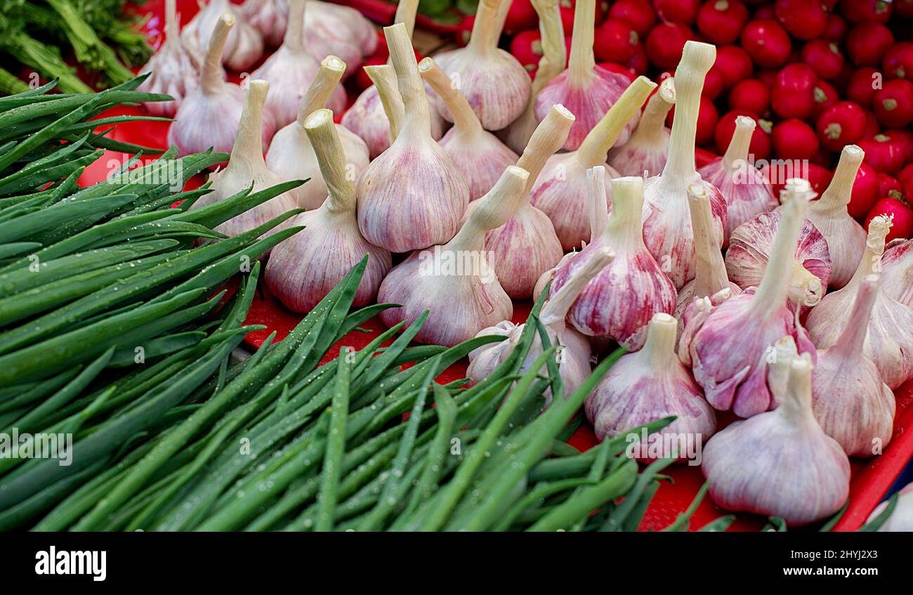 Shot of garlic and onion Stock Photo Alamy
