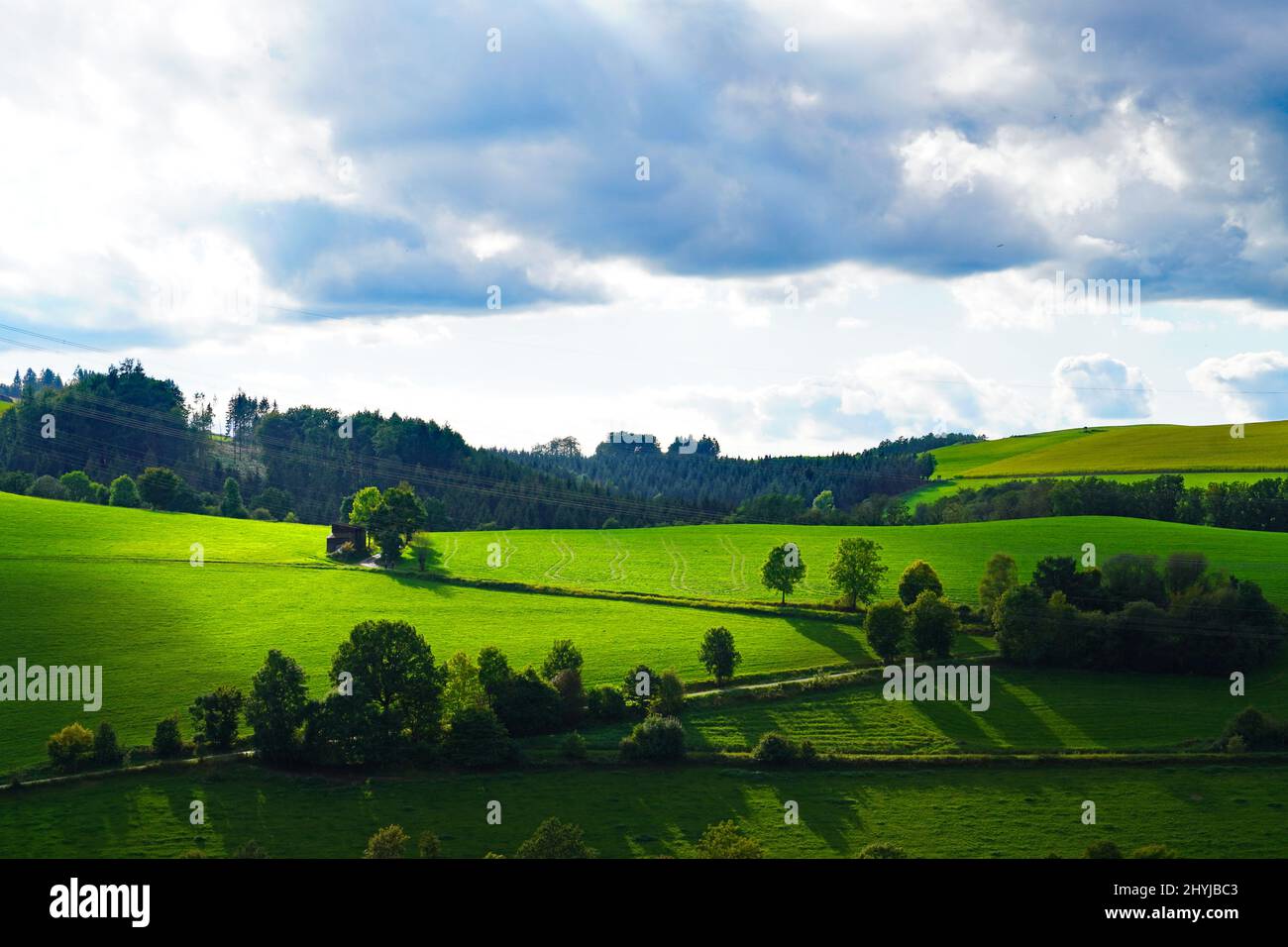 Aerial shot of a green meadow with scattered trees and their shadows ...