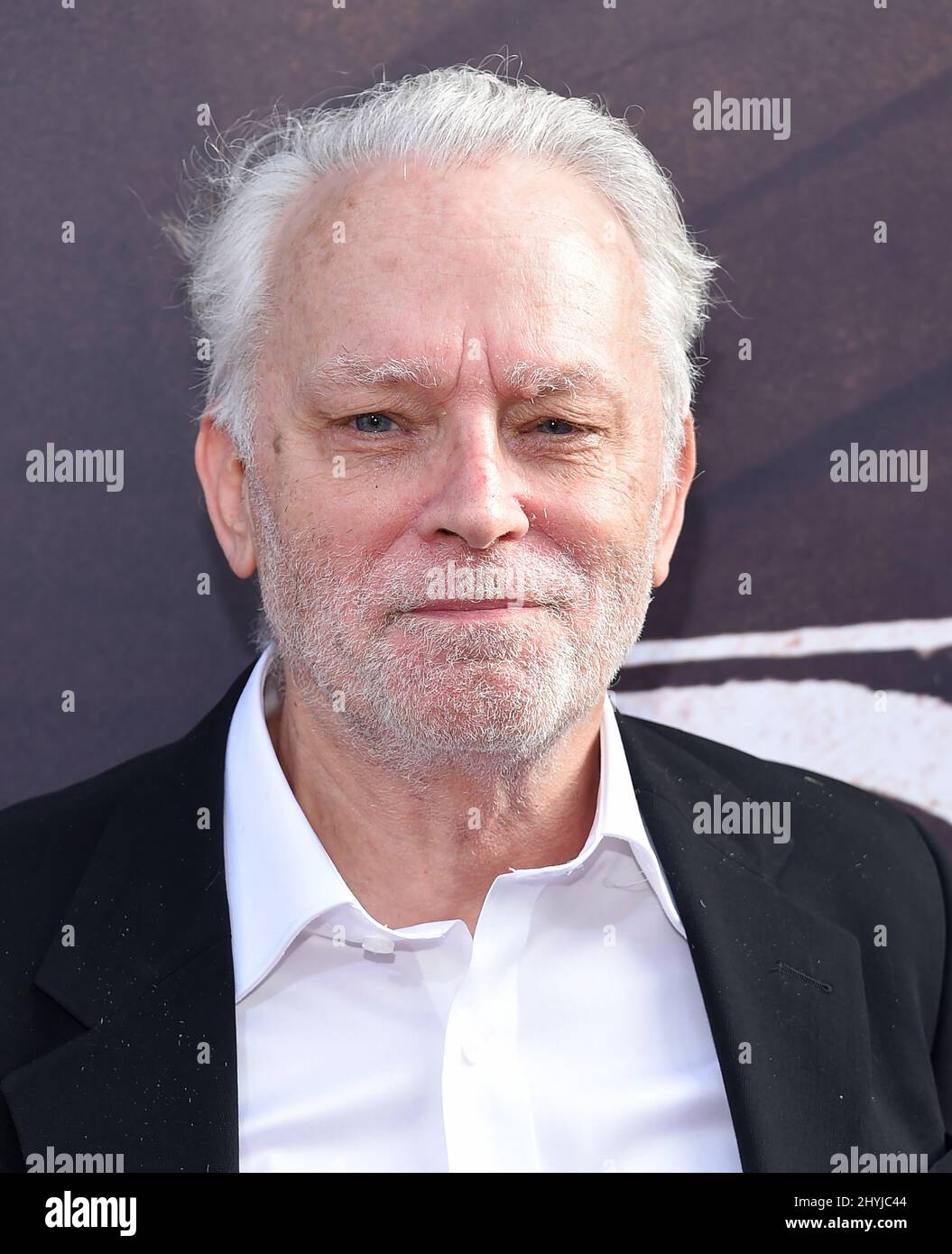 Brad Dourif at HBO Films' "Deadwood" Los Angeles premiere Stock Photo