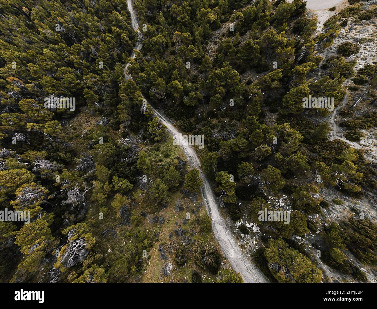 Aerial shot thick green forest hi-res stock photography and images - Alamy