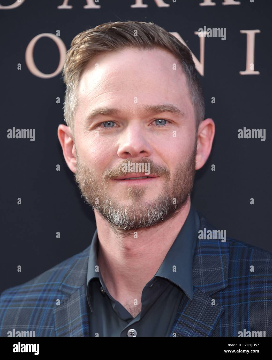 Shawn Ashmore attending the premiere of Dark Phoenix in Los Angeles