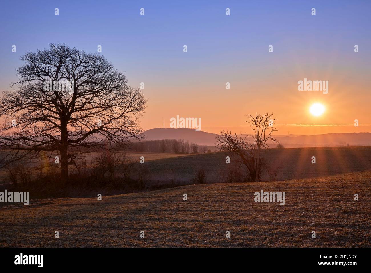 Sonnenaufgang mit Baum auf einem Feld und Berg im Hintergrund Stock Photo