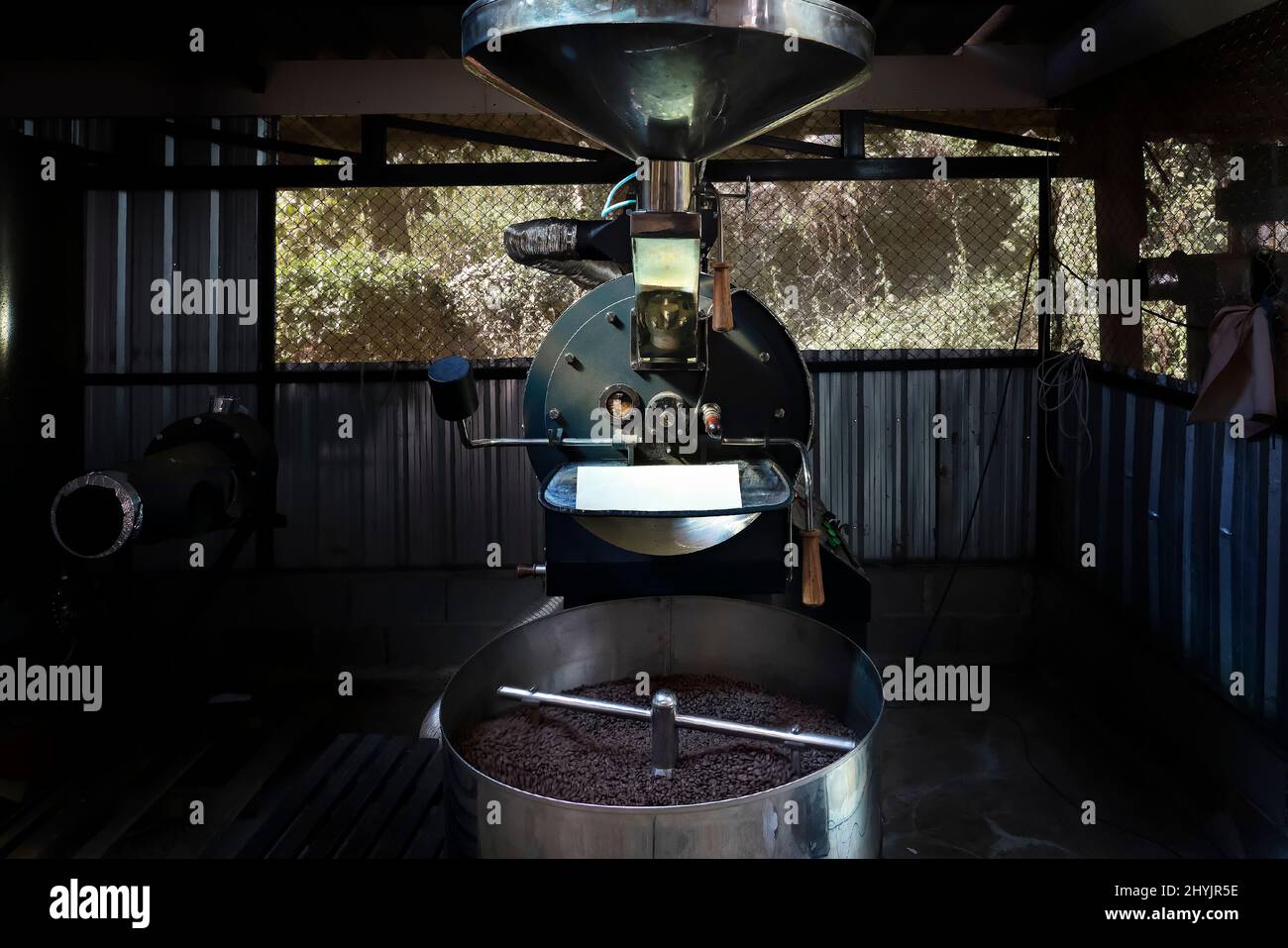 Freshly roasted coffee beans in the coffee roaster machine. Small