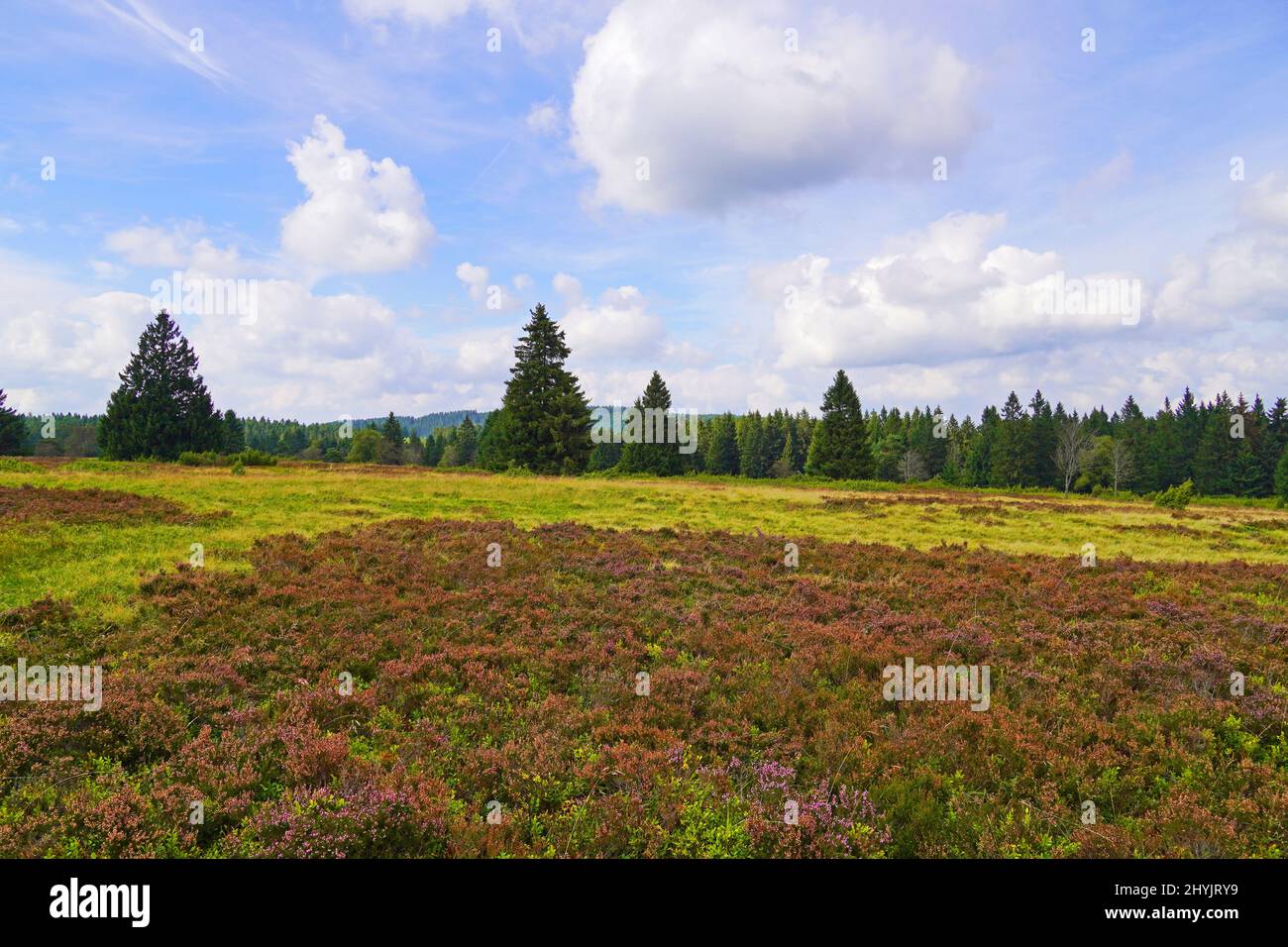 Aerial shot of a landscape protection area in Neuer Hagen, Germany