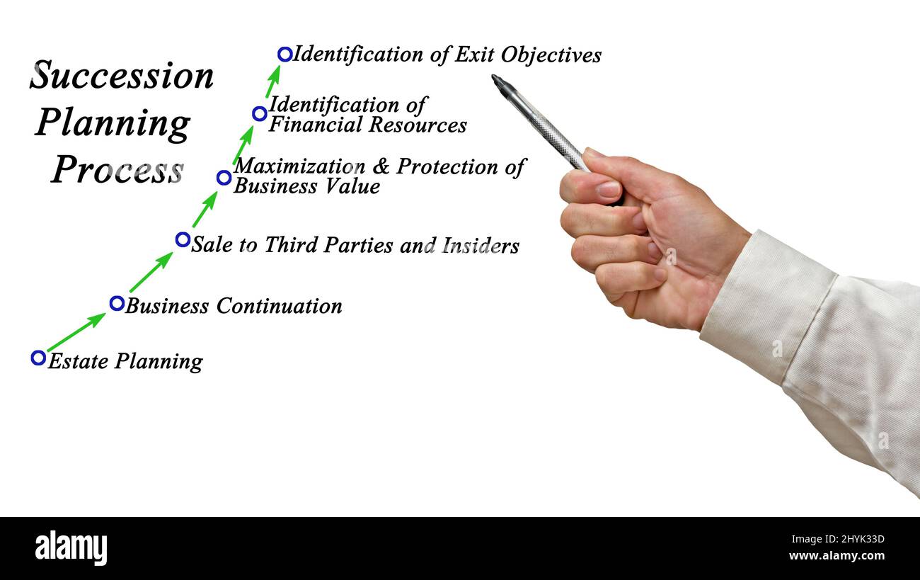 Components of Succession Planning Process Stock Photo - Alamy