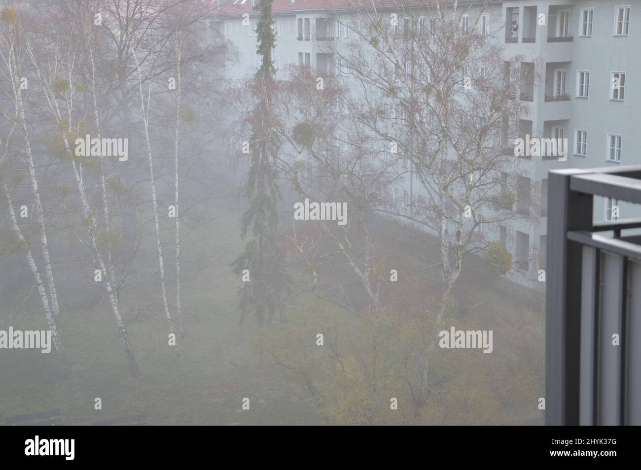 weather-in-germany-early-morning-fog-covers-berlin-march-15-2022