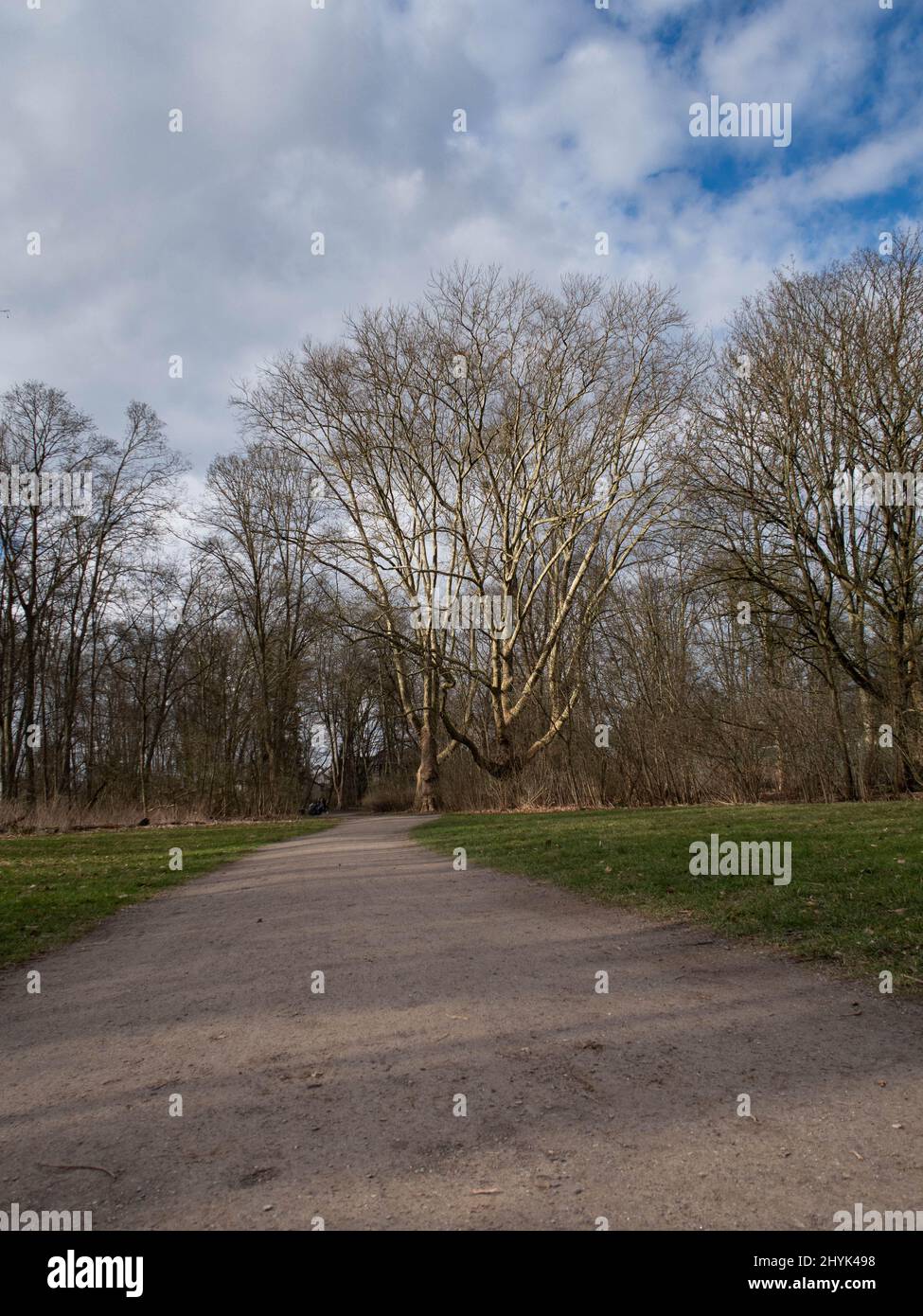 Stadtwald of Cologne in spring 2022 Stock Photo - Alamy