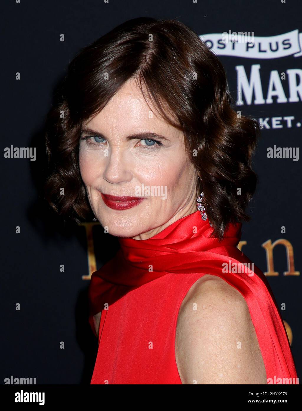 Elizabeth McGovern attending the Downton Abbey Premiere held at Alice