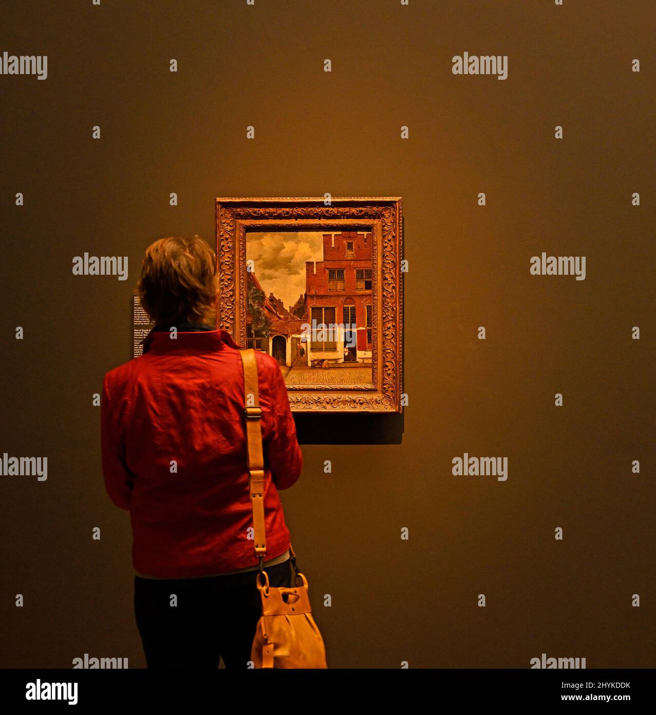 amsterdam, netherlands - 2022-03-01:  rijksmuseum,  a woman admiring johannes vermeer view of houses in delft (the little street) --  [credit: joachim Stock Photo