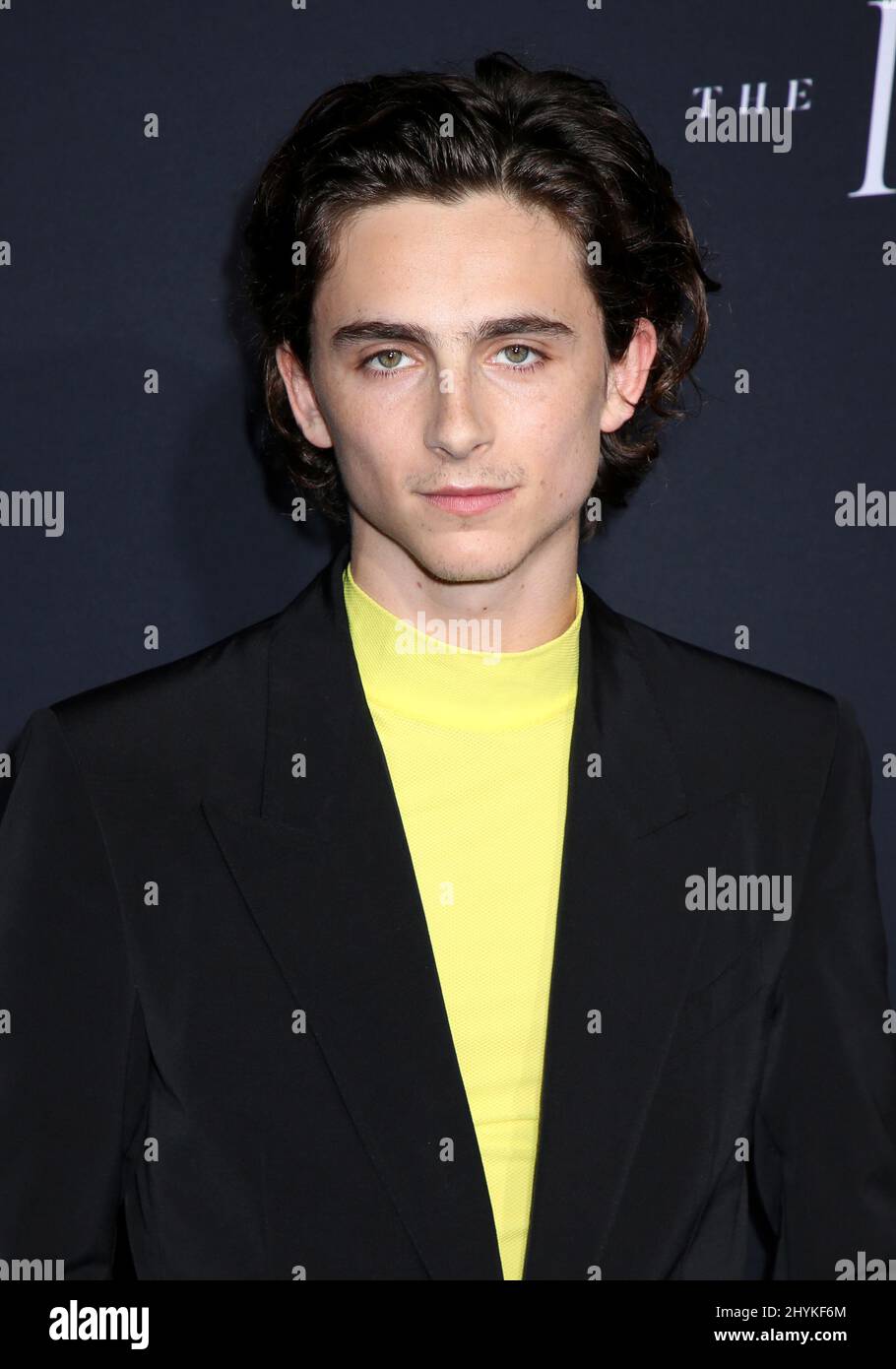 timothee chalamet academy award nomination