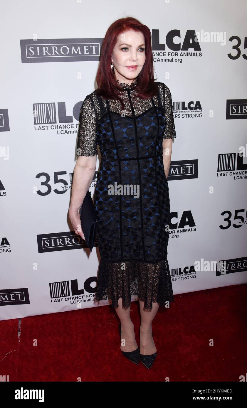 Priscilla Presley at the Last Chance For Animals 35th Anniversary Gala