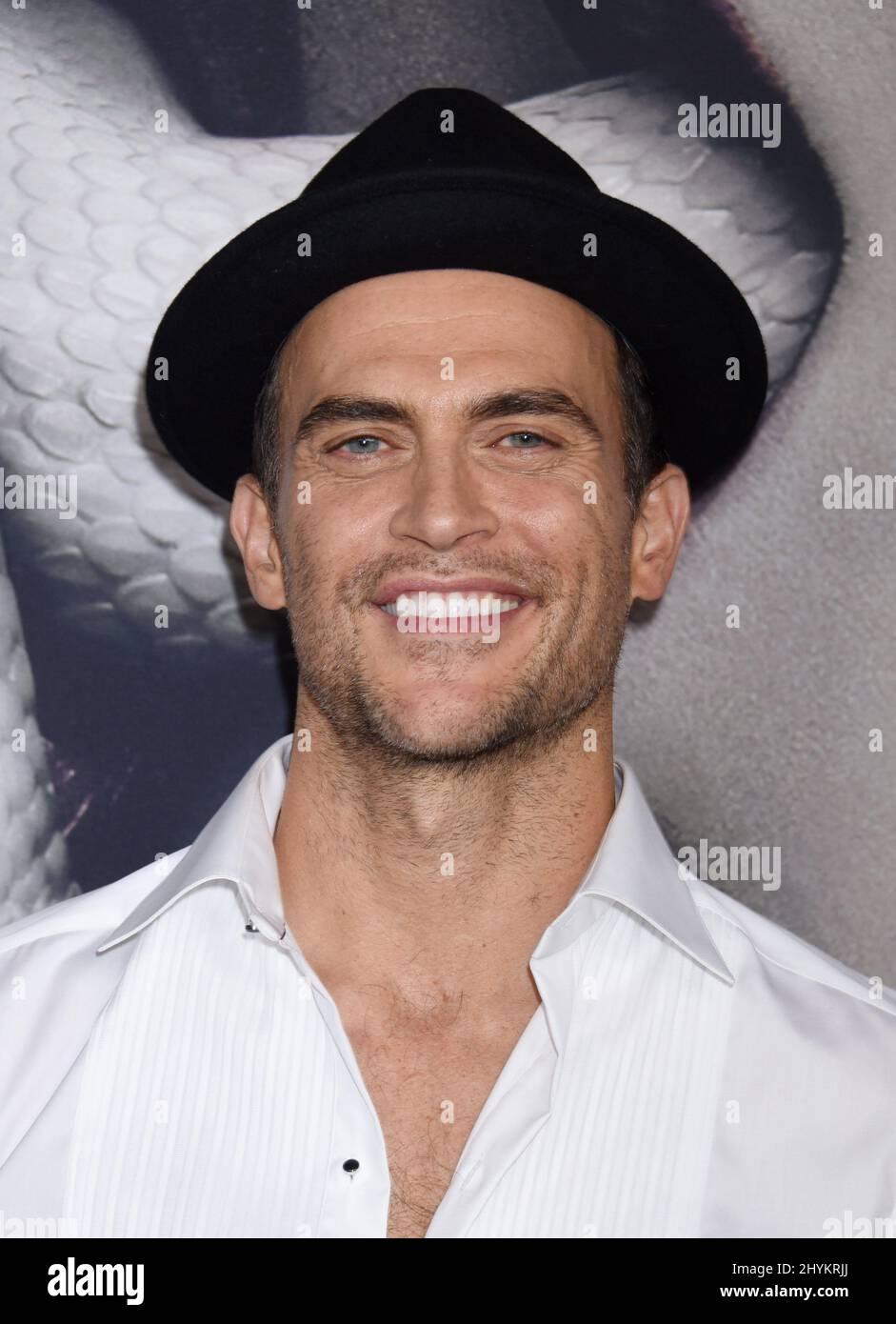 Cheyenne Jackson at FX's 