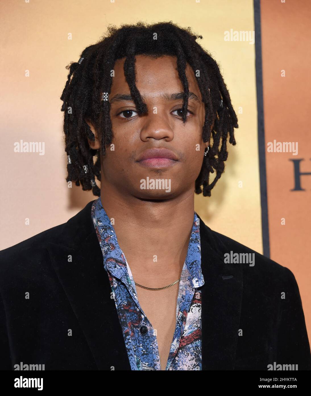 Henry Hunter Hall arriving to the €˜Harriet Los Angeles Premiere at Orpheum Theatre on October 29, 2019 in Los Angeles, USA. Stock Photo