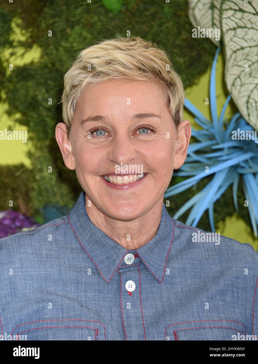 Ellen DeGeneres at Netflix's "Green Eggs And Ham" Season 1 Premiere and