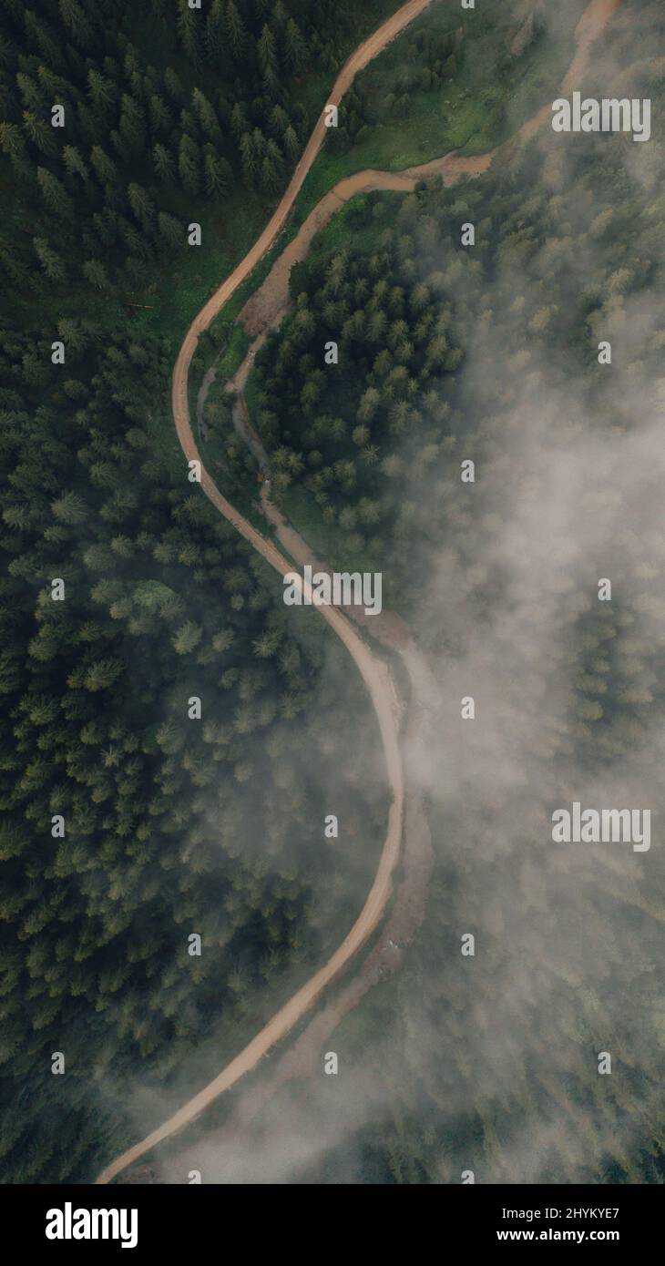 Top view roads surrounded trees hi-res stock photography and images - Alamy