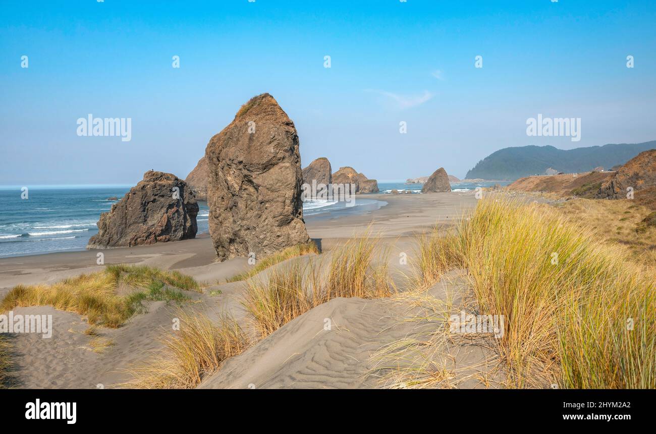 View over sandy beach with thins and large rocks, coastal landscape