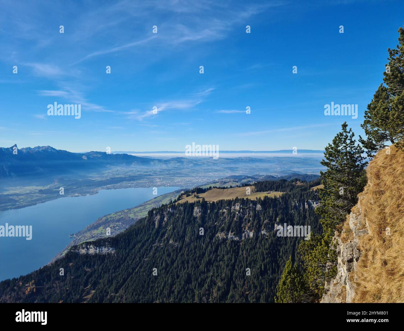 Aerial shot of a lake Thun and a forested mountains under a blue sky Stock Photo