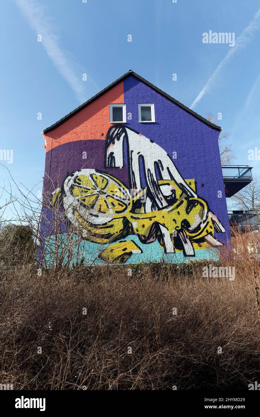 Graffiti on house wall, mural by street artist HNRX, Duesseldorf, North Rhine-Westphalia, Germany Stock Photo