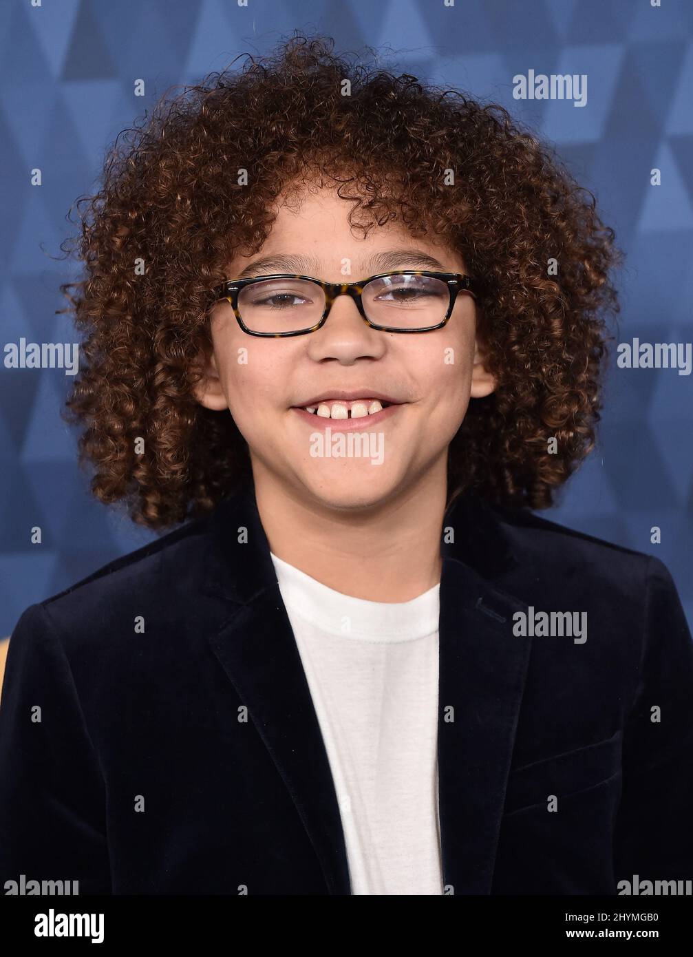 Ethan William Childress at the ABC Winter TCA 2020 Arrivals Carpet held at the Langham Huntington Hotel Stock Photo