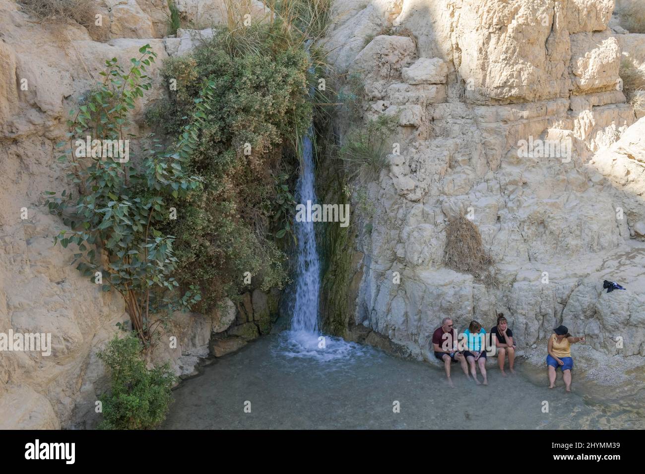 Shulamit Waterfall, Wadi David, Ein Gedi Nature Reserve, Israel Stock Photo