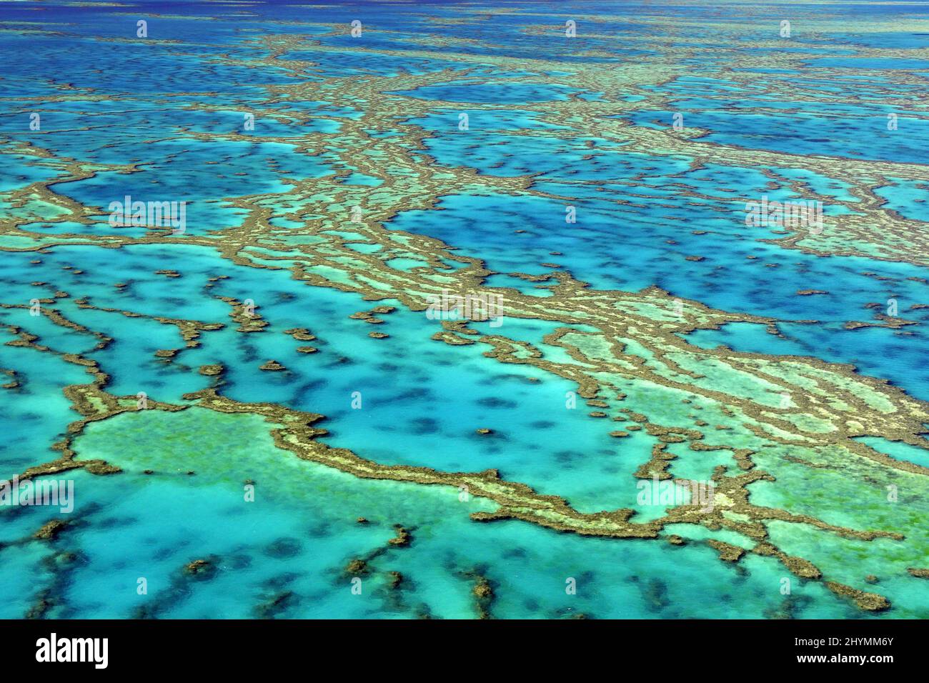 The marine wonders of the great barrier coral reef hires stock