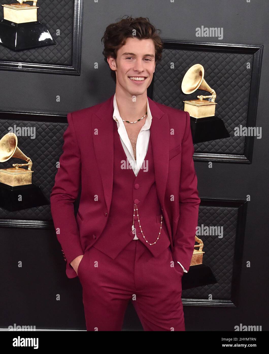 Shawn Mendes attending the 2020 GRAMMY Awards held at Staples Center in ...