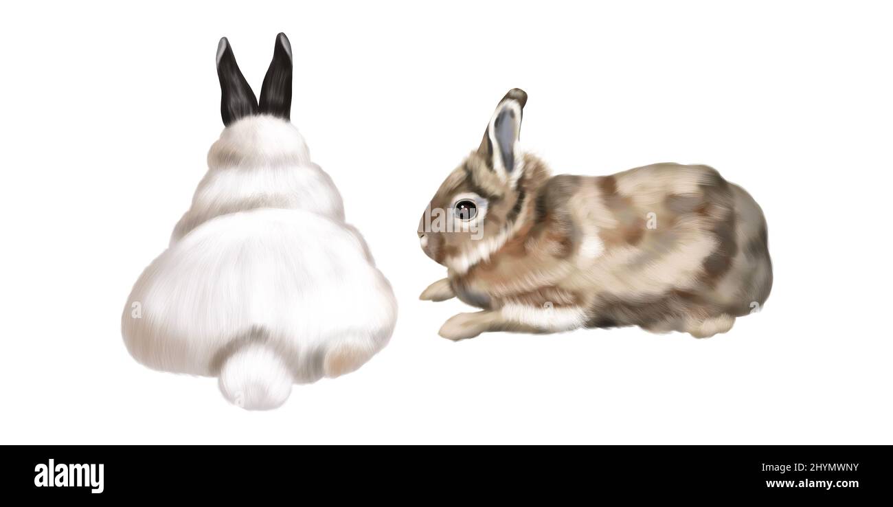 A set of realistic bunnies. Watercolor illustration of colored rabbits on a white background Stock Photo