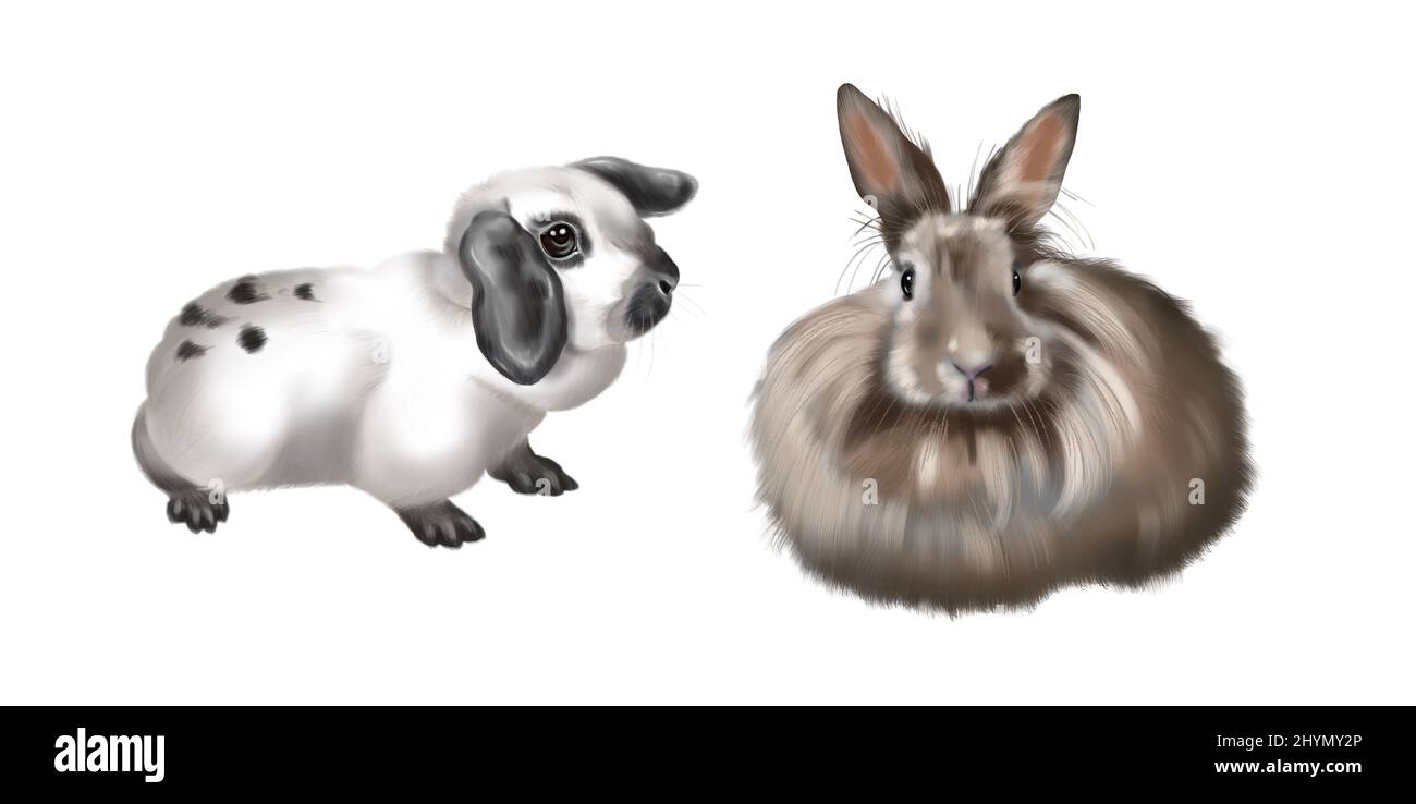 A set of realistic bunnies. Watercolor illustration of colored rabbits ...