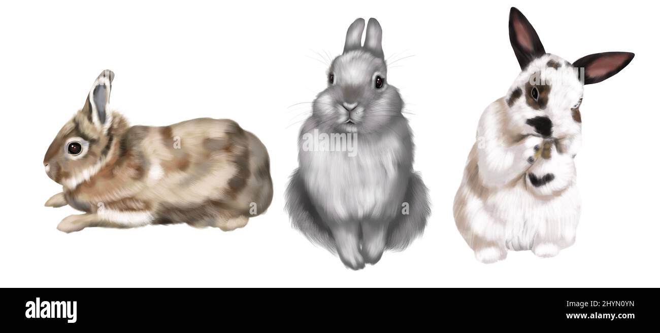 A set of realistic bunnies. Watercolor illustration of colored rabbits ...